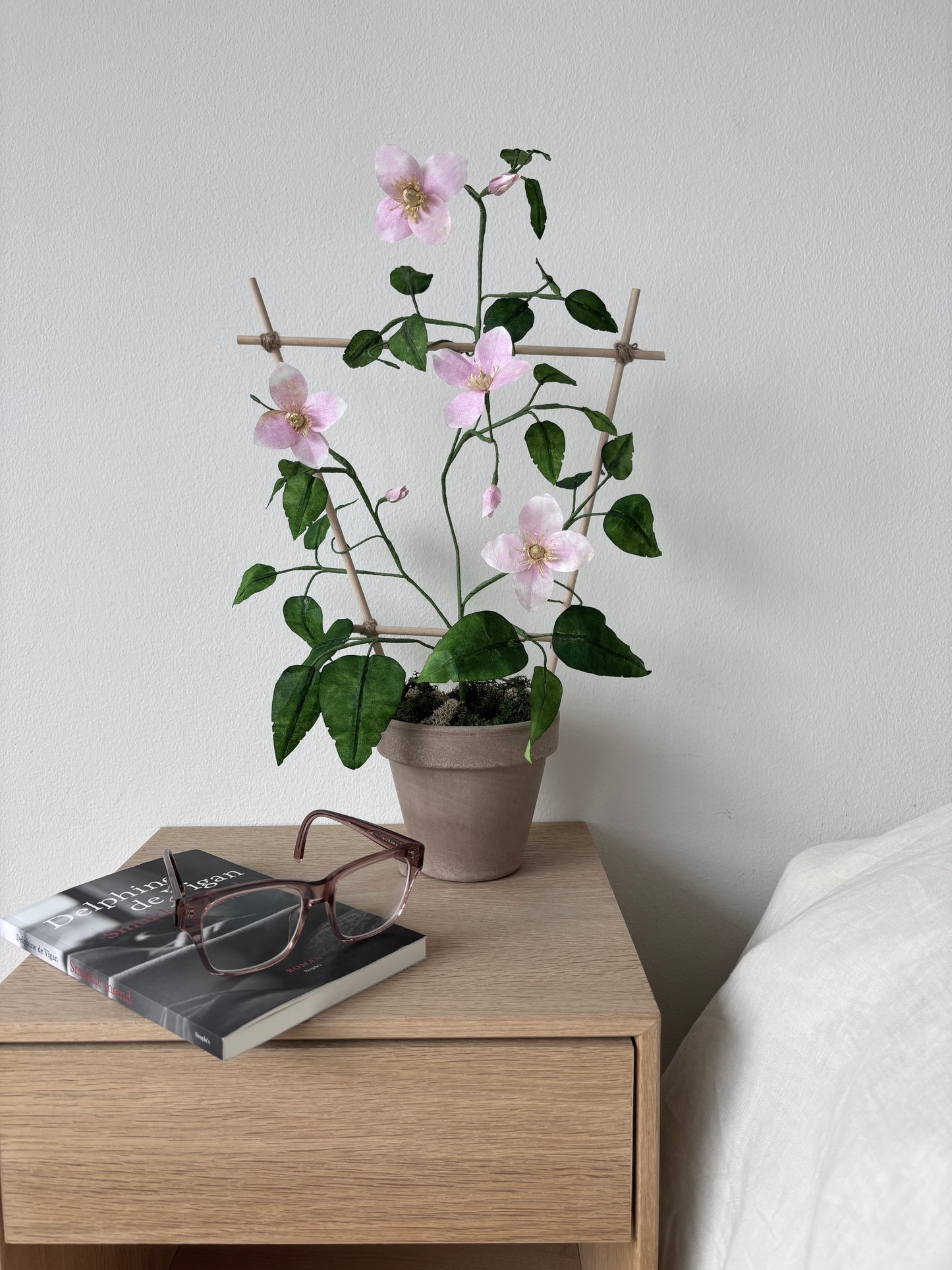 Klematis