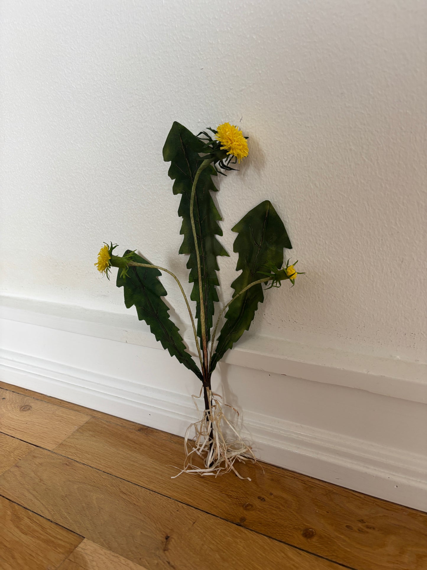 Mælkebøtte