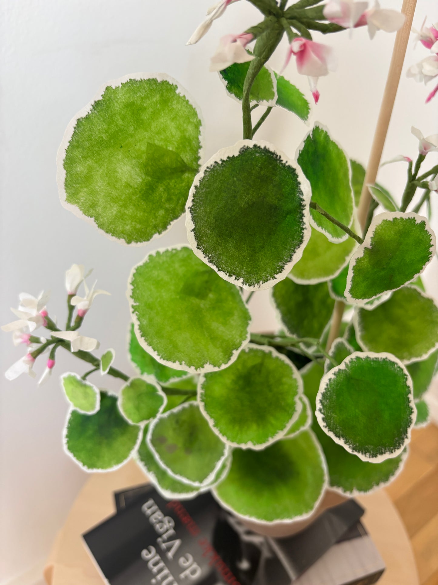 Pelagonie