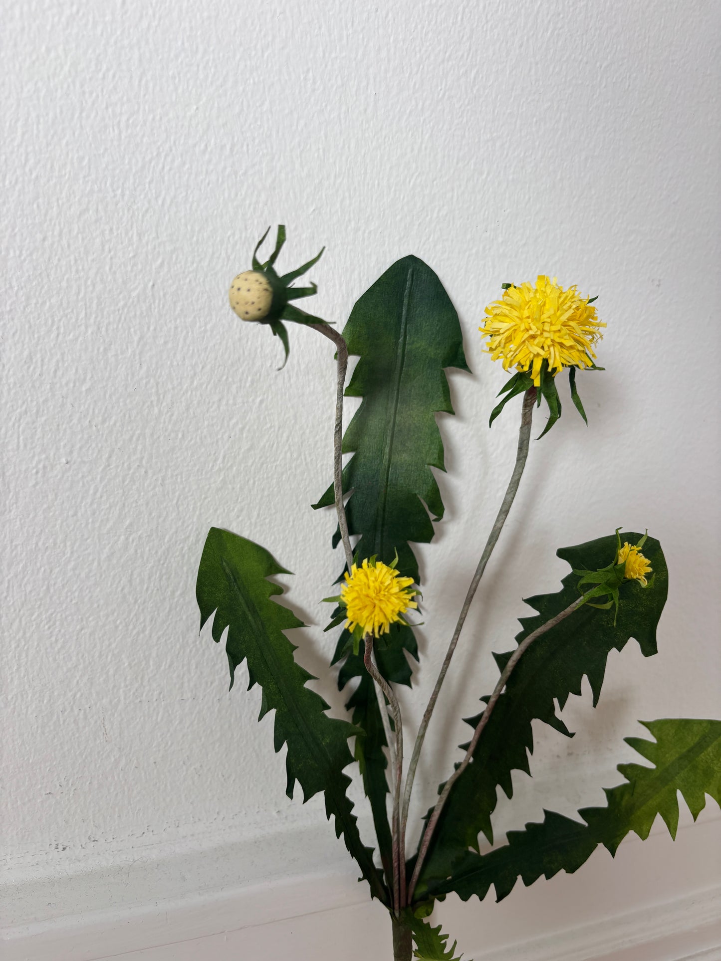 Mælkebøtte