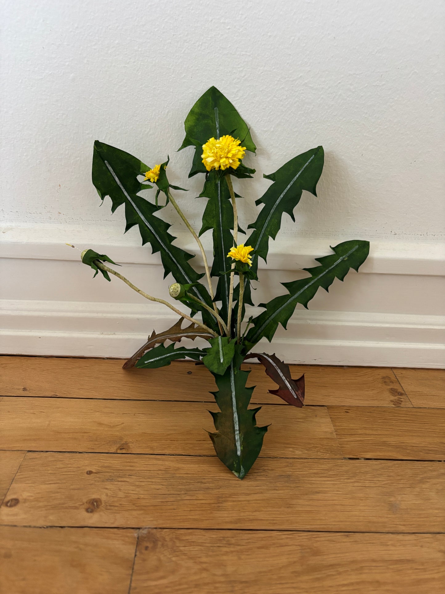 Mælkebøtte