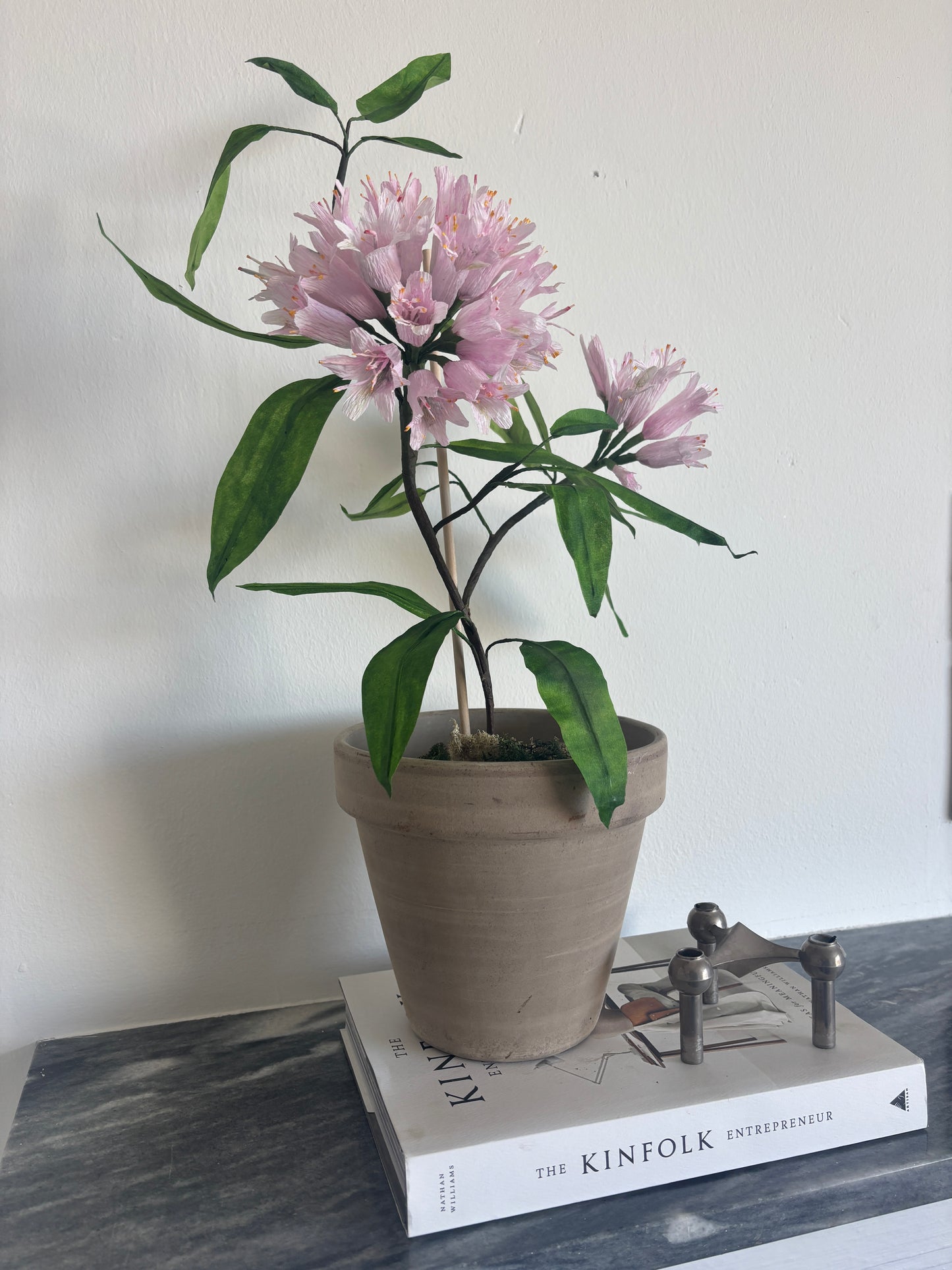 Rhodendendron