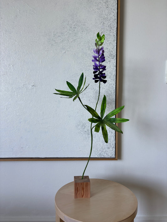 Lupin