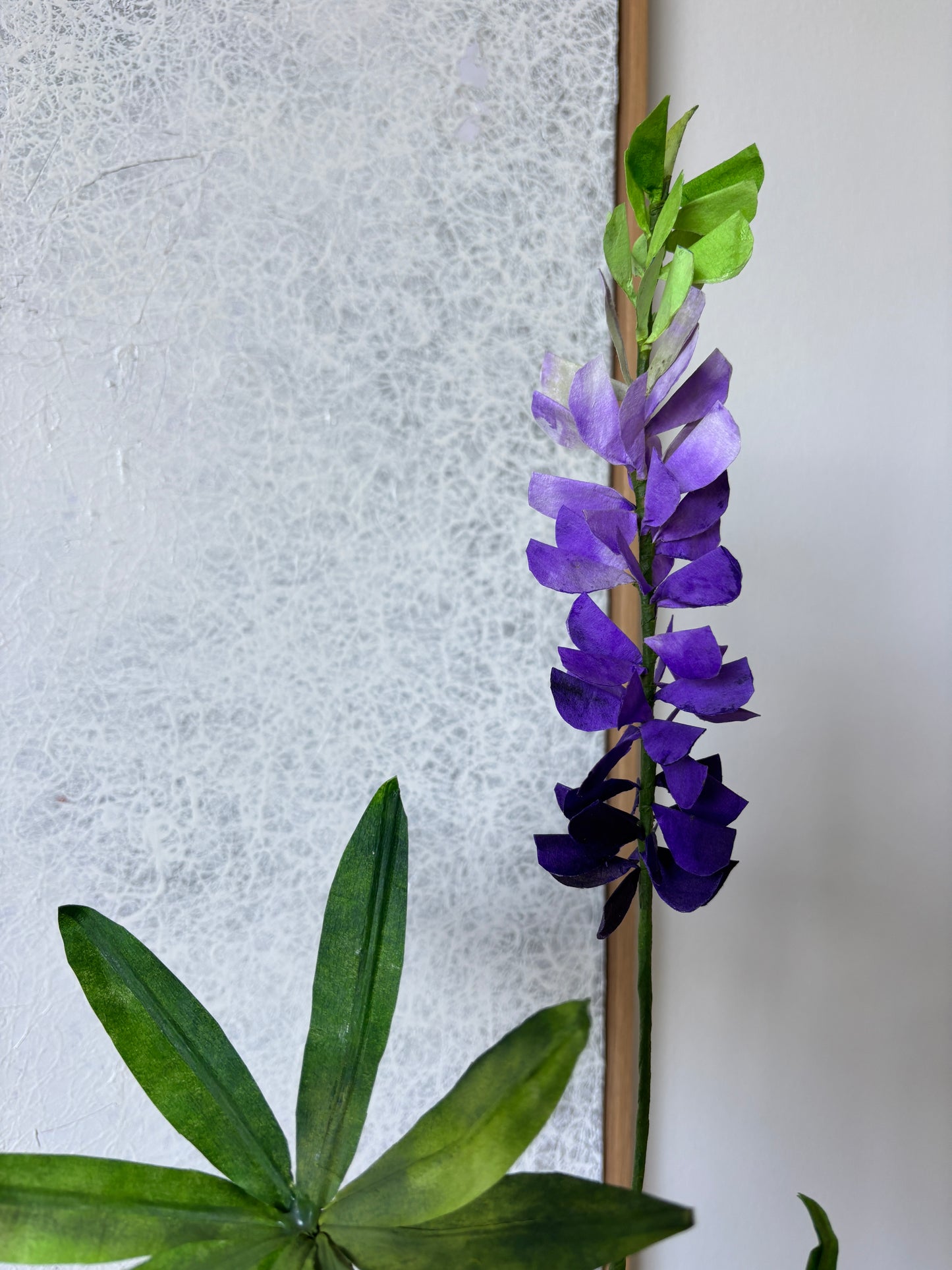 Lupin