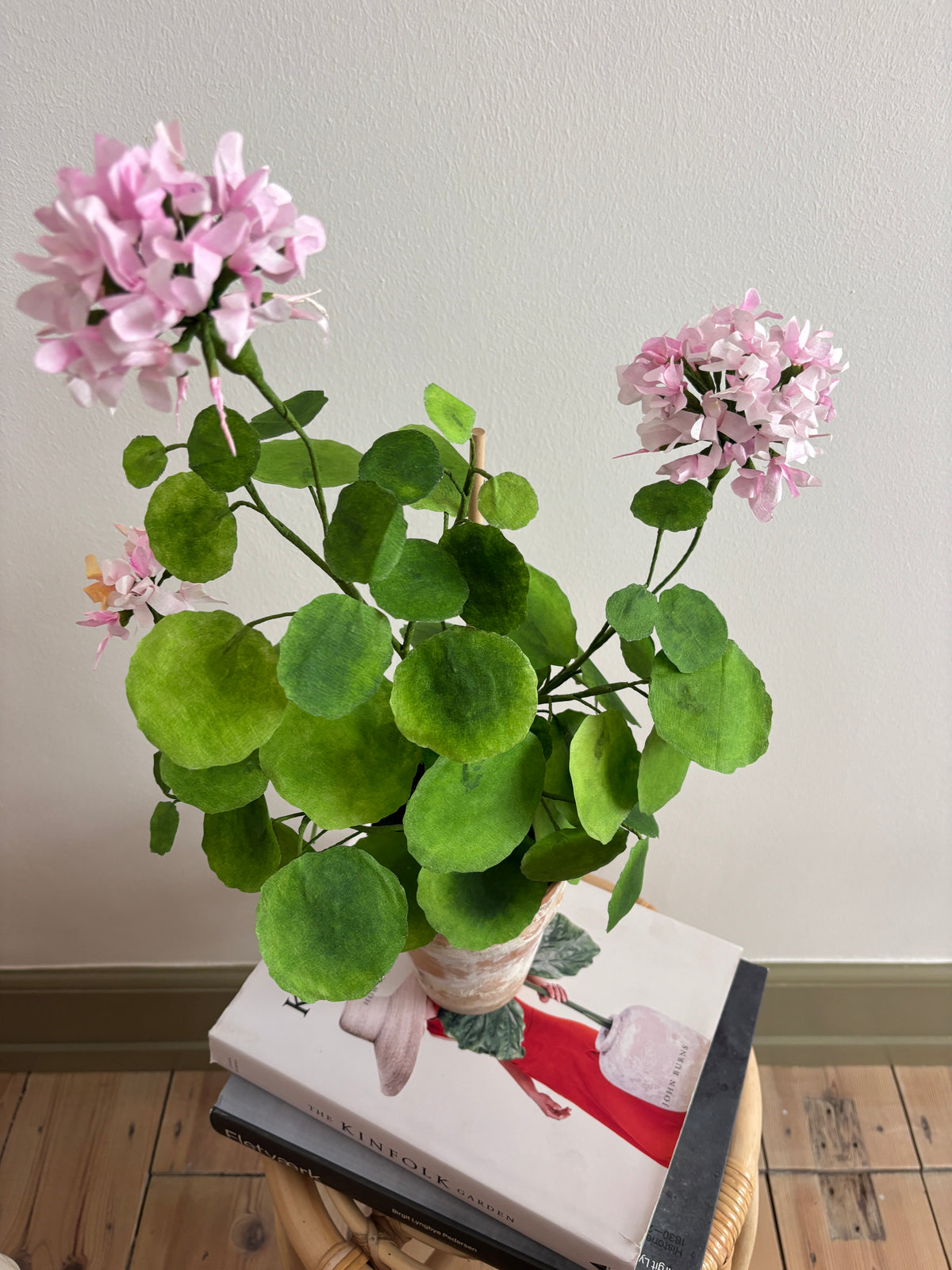 Pelargonie