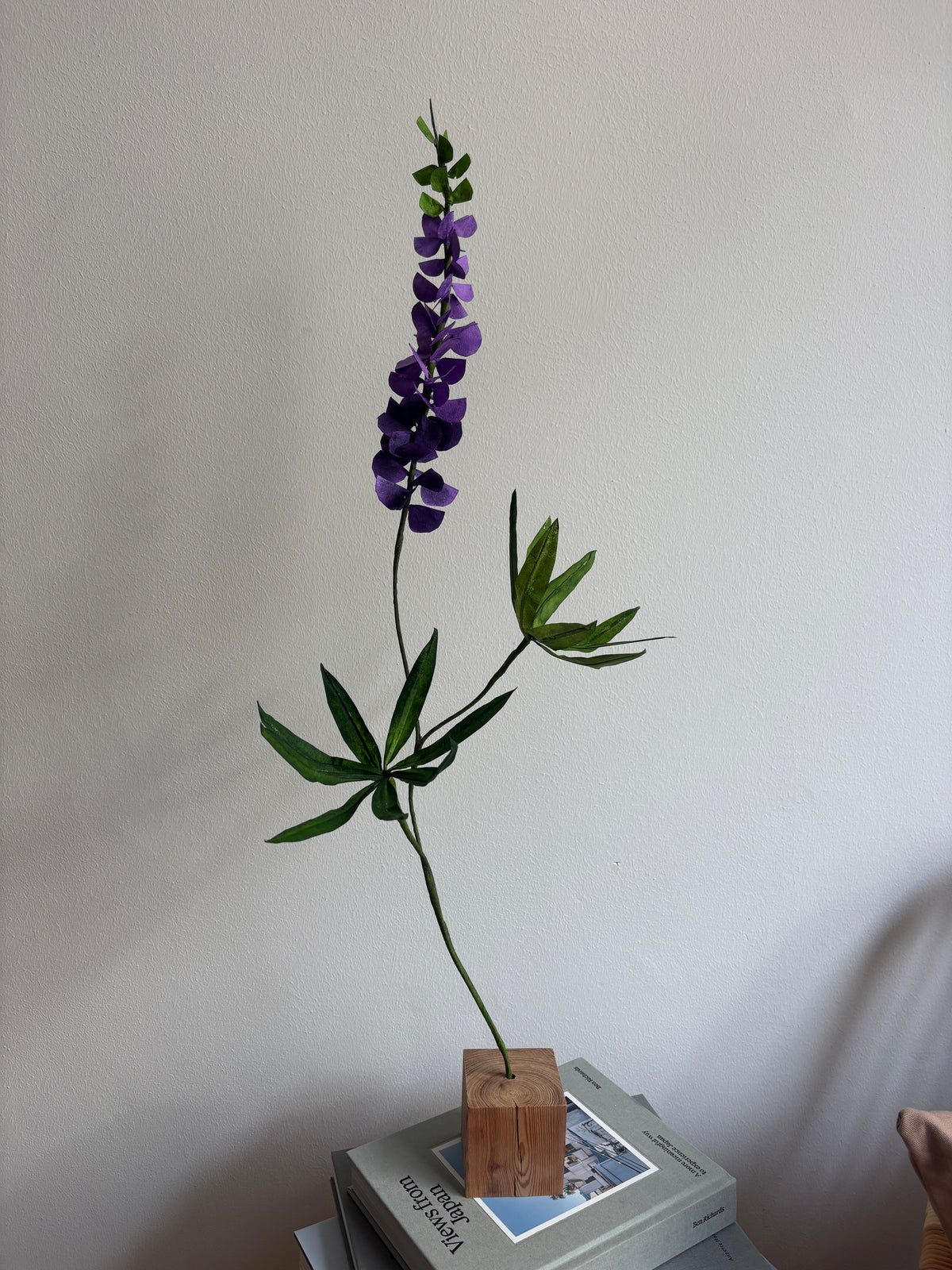 Lupin