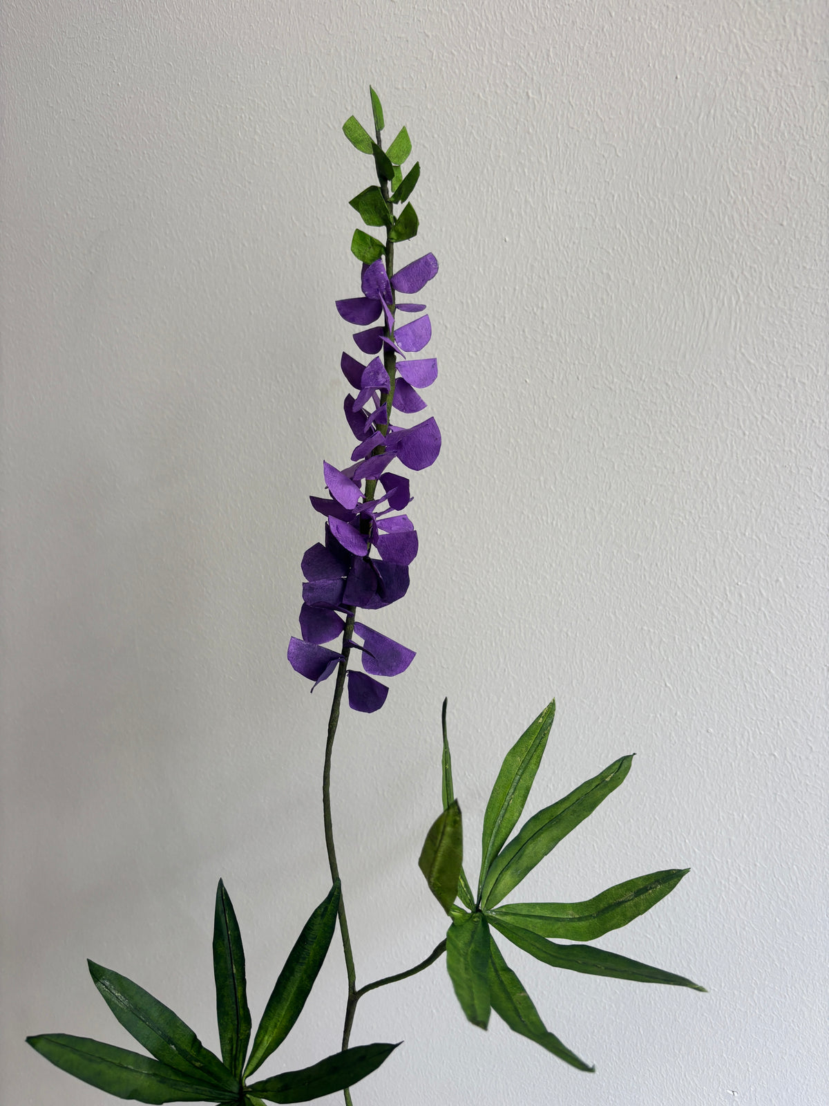 Lupin