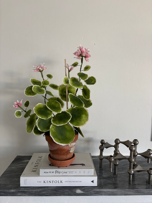 Pelagonie