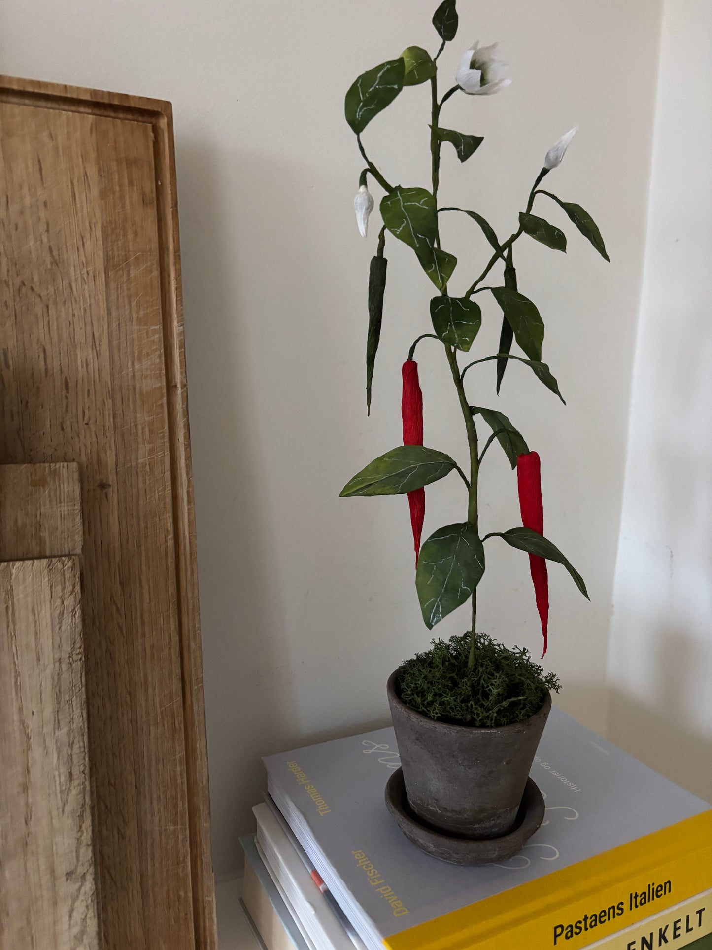 Chiliplante