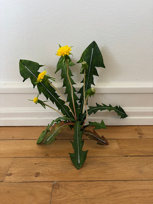 Mælkebøtte